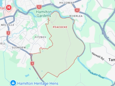 Peacocke Rental Market & Property Investor Guide